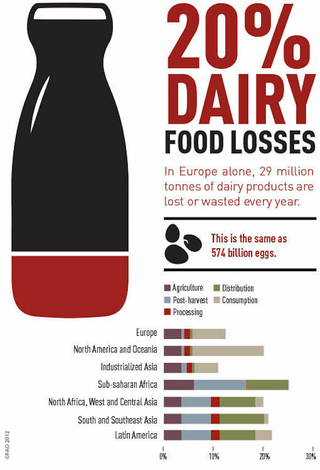 Illustration for article titled These Charts Show Which Foods Are Most Likely To Be Wasted